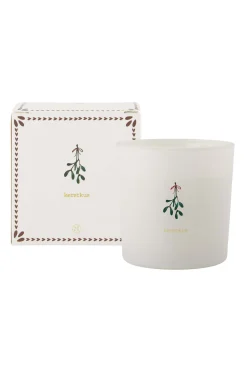 ZUSSS geurkaars in doosje winterbloem kerstkus mistletoe* Geurkaarsen